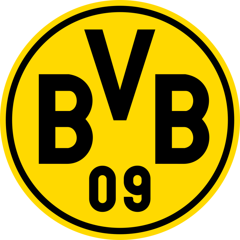 Giới thiệu sơ qua về Borussia Dortmund